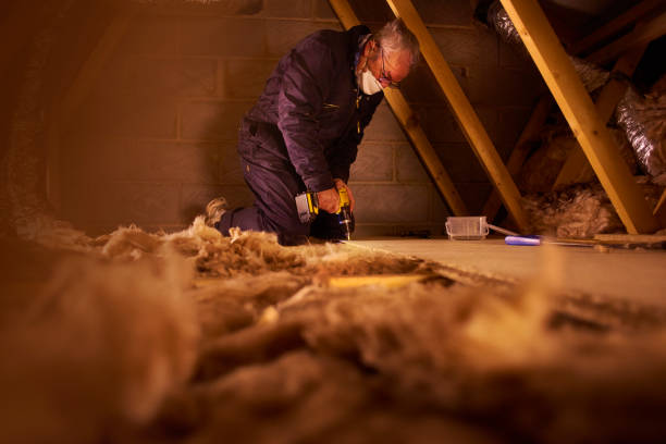 Types of Insulation We Offer in Waymart, PA